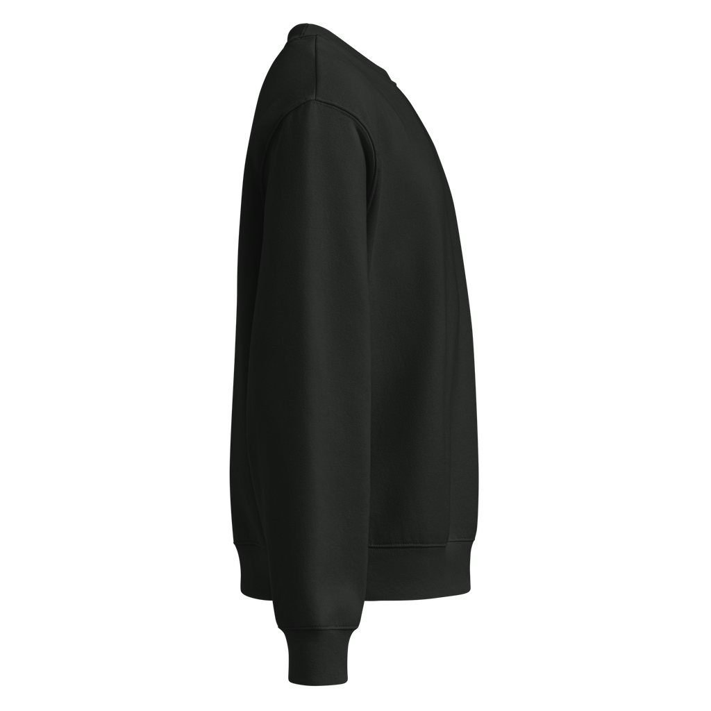 CENSORED oversized sweatshirt in Vintage Black — side